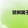猞猁属于哪个生态系统（猞猁属）