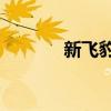 新飞豹3参数详解（新飞豹3）