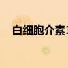 白细胞介素12.3严重吗（白细胞介素12）