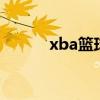 xba篮球联赛（xba篮球经理2）