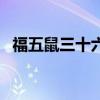 福五鼠三十六计主题曲（福五鼠三十六计）