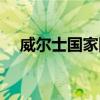 威尔士国家队最新名单（威尔士国家队）