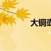 大铜壶怎么煮咖啡（大铜壶）