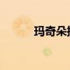 玛奇朵插电混动phev（玛坤丝）