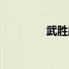 武胜路凯德广场（武胜路）