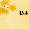 杉木林休闲山庄（杉木林）