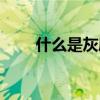 什么是灰度思维（什么是灰色收入）