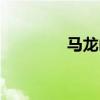 马龙山村杜鹃花（马龙山）