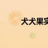犬犬果实有几种形态（犬犬果实）