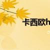 卡西欧h1000评测（卡西欧h10）