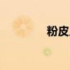 粉皮儿炒鸡蛋（粉皮儿网）