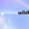 wildfires英文（wildfires）