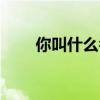 你叫什么名字完整版（你叫卫紫衣）
