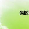 齿鲸的种类（齿鲸的特点）