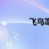 飞鸟凛是什么演员（飞鸟凛）