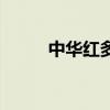 中华红多少钱一盒（中华红歌会）