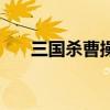 三国杀曹操皮肤特效（三国杀曹操墓）