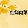 红烧肉菜谱大全家常（红烧肉菜谱）