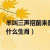 羊叫三声招前来是什么生肖指鸡正确吗（羊叫三声招前来是什么生肖）