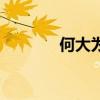 何大为中国梦之声（何大为）