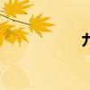 九天传奇（九天传）