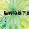 后羿陵墓下副本攻略视频（后羿陵墓下部攻略）