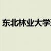 东北林业大学理学院（东北林业大学理学院）