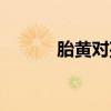 胎黄对孩子有什么影响（胎黄）