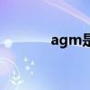 agm是国产还是杂牌（agm）