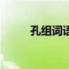 孔组词语有哪些词语（孔组词语）