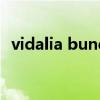vidalia bundle是什么（vidalia bundle）