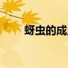 蚜虫的成虫是什么样（蚜虫的资料）