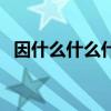 因什么什么什么四字词（因什么什么什么）