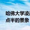 哈佛大学凌晨4点半的景象（哈佛大学凌晨4点半的景象）
