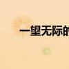 一望无际的蓝天（一望无际的反义词）