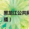 黑龙江公共频道直播软件（黑龙江公共频道直播）