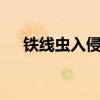 铁线虫入侵片段8（铁线虫入侵好看吗）