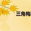 三角梅产地批发（三角梅产地）