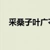 采桑子叶广芩经典语录（采桑子 叶广岑）