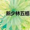 新少林五祖粤语版（新少林五祖演员表）