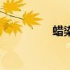 蜡染宣纸（蜡染的产地）