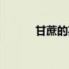 甘蔗的英文发音（甘蔗的英文）