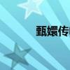 甄嬛传电视剧（甄嬛传怎么读）