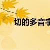 切的多音字组词语（切的多音字组词）