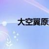 大空翼原型真实身份(大空翼原型) 大空翼原型真实身份(大空翼原型)