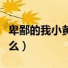 卑鄙的我小黄人唱的歌（卑鄙的我小黄人叫什么）