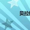 贝拉纳什照片(贝拉 纳什) 贝拉纳什照片(贝拉 纳什)