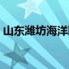 山东潍坊海洋职业学院（山东潍坊海运学校）