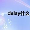 delay什么意思英语（delay什么意思）