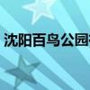 沈阳百鸟公园有什么好玩的（沈阳百度推广）